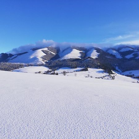 Penzion Baltazar Liptovska Luzna Bagian luar foto