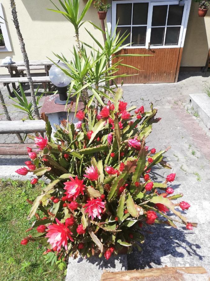 Penzion Baltazar Liptovska Luzna Bagian luar foto