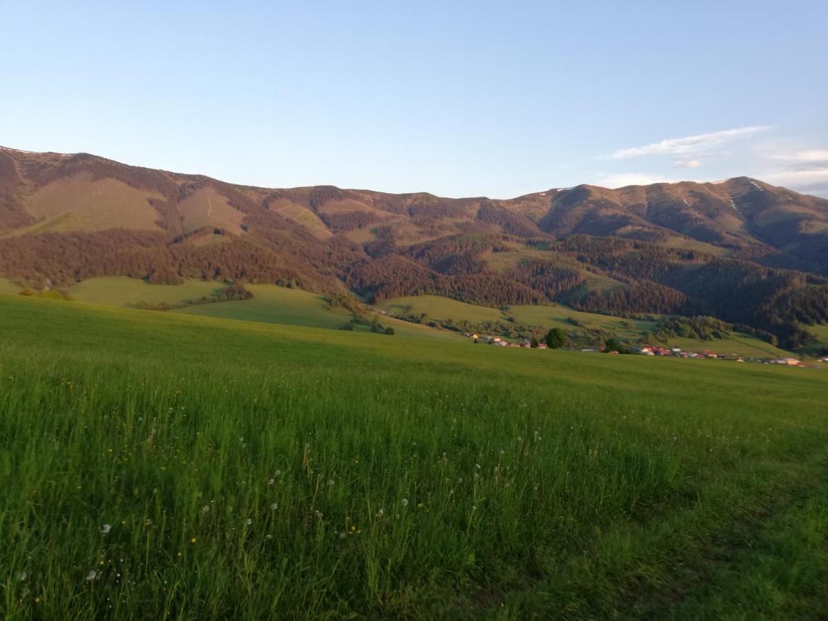 Penzion Baltazar Liptovska Luzna Bagian luar foto