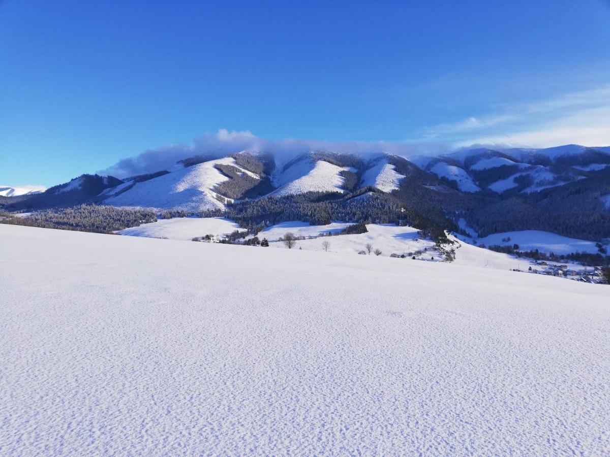 Penzion Baltazar Liptovska Luzna Bagian luar foto