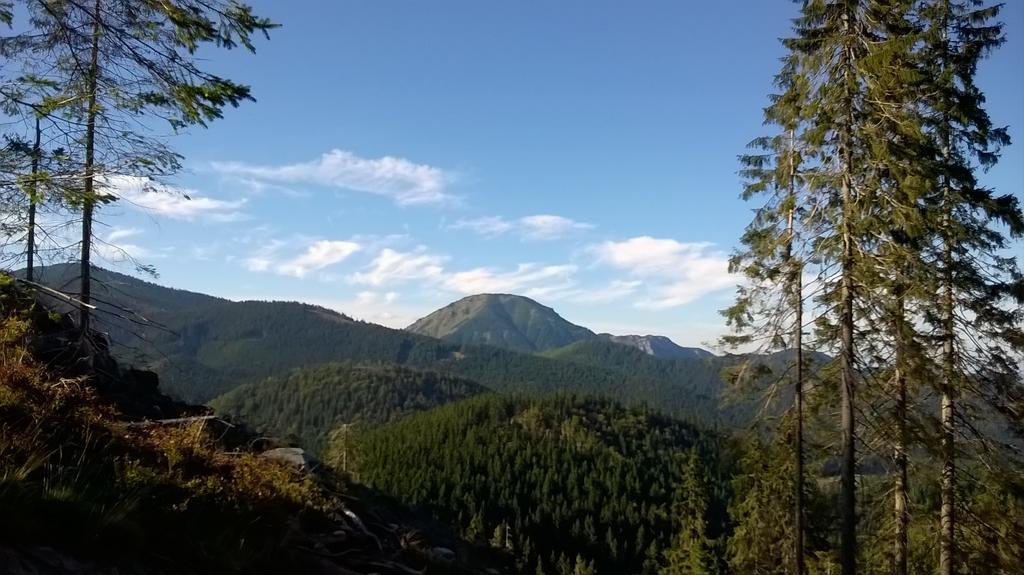 Penzion Baltazar Liptovska Luzna Bagian luar foto